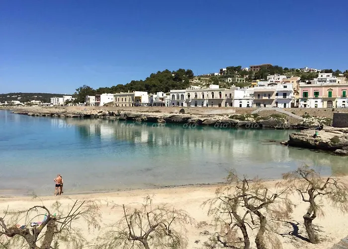 La Turchese Monolocale Frontemare 아파트 산타 마리아 알 바뇨