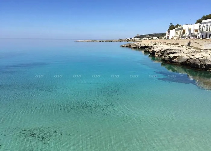 La Turchese Monolocale Frontemare 아파트 산타 마리아 알 바뇨